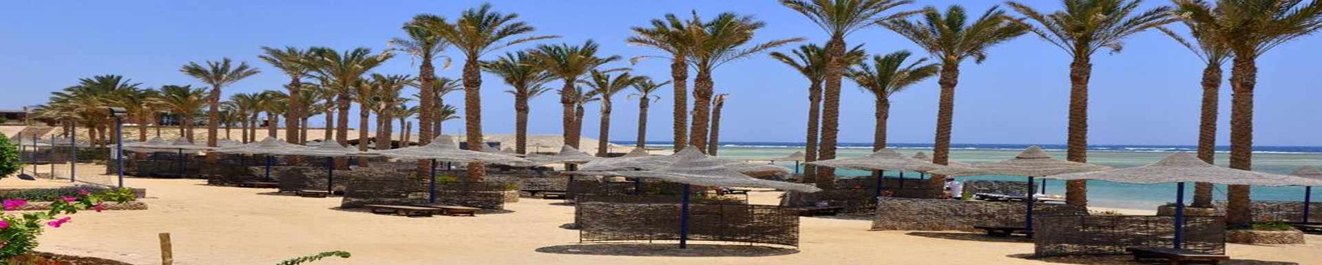 Elphistone Resort
